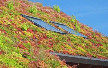 Allgreave living roof systems